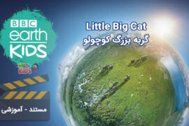 مجموعه BBC Earth Kids، فصل گربه بزرگ کوچولو