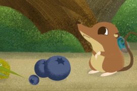 کارتون Puffin Rock (صخره پافین ها) – فصل 1 – قسمت 13