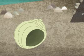کارتون Puffin Rock (صخره پافین ها) – فصل 2 – قسمت 13