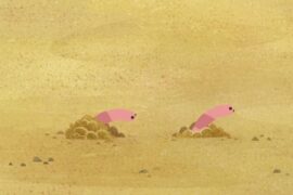 کارتون Puffin Rock (صخره پافین ها) – فصل 2 – قسمت 3
