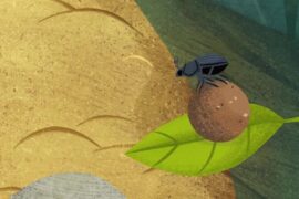 کارتون Puffin Rock (صخره پافین ها) – فصل 2 – قسمت 5