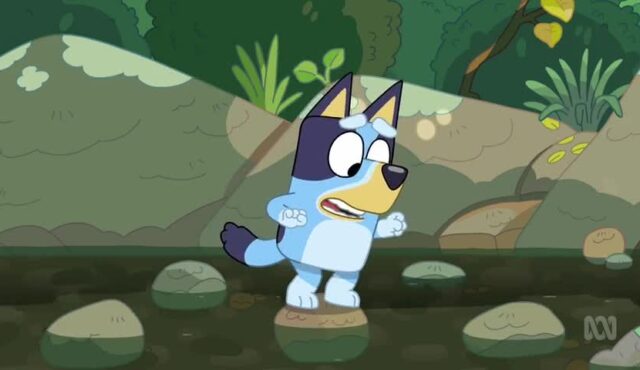 کارتون Bluey (انیمیشن بلویی) – فصل 1 – قسمت 29