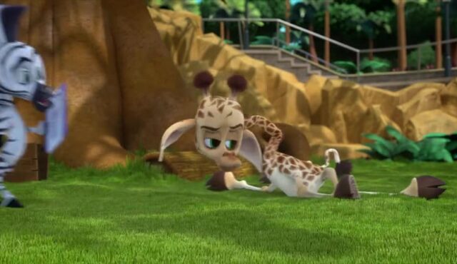 کارتون Madagascar: A Little Wild (ماداگاسکار: کمی وحشی) – فصل 3 – قسمت 6