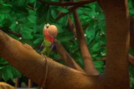 کارتون Madagascar: A Little Wild (ماداگاسکار: کمی وحشی) – فصل 6 – قسمت 2